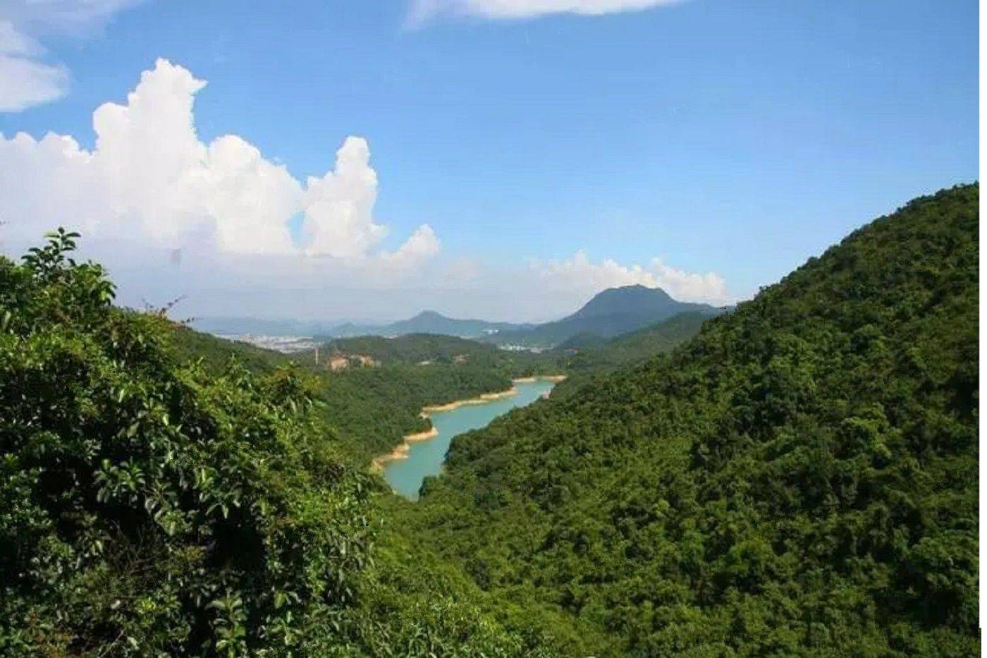 珑远首铸-森湖翠珑湾