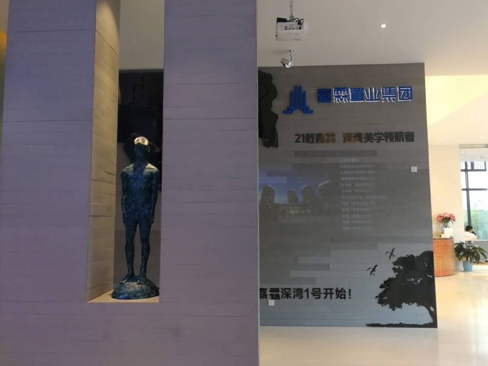 揽海云境
