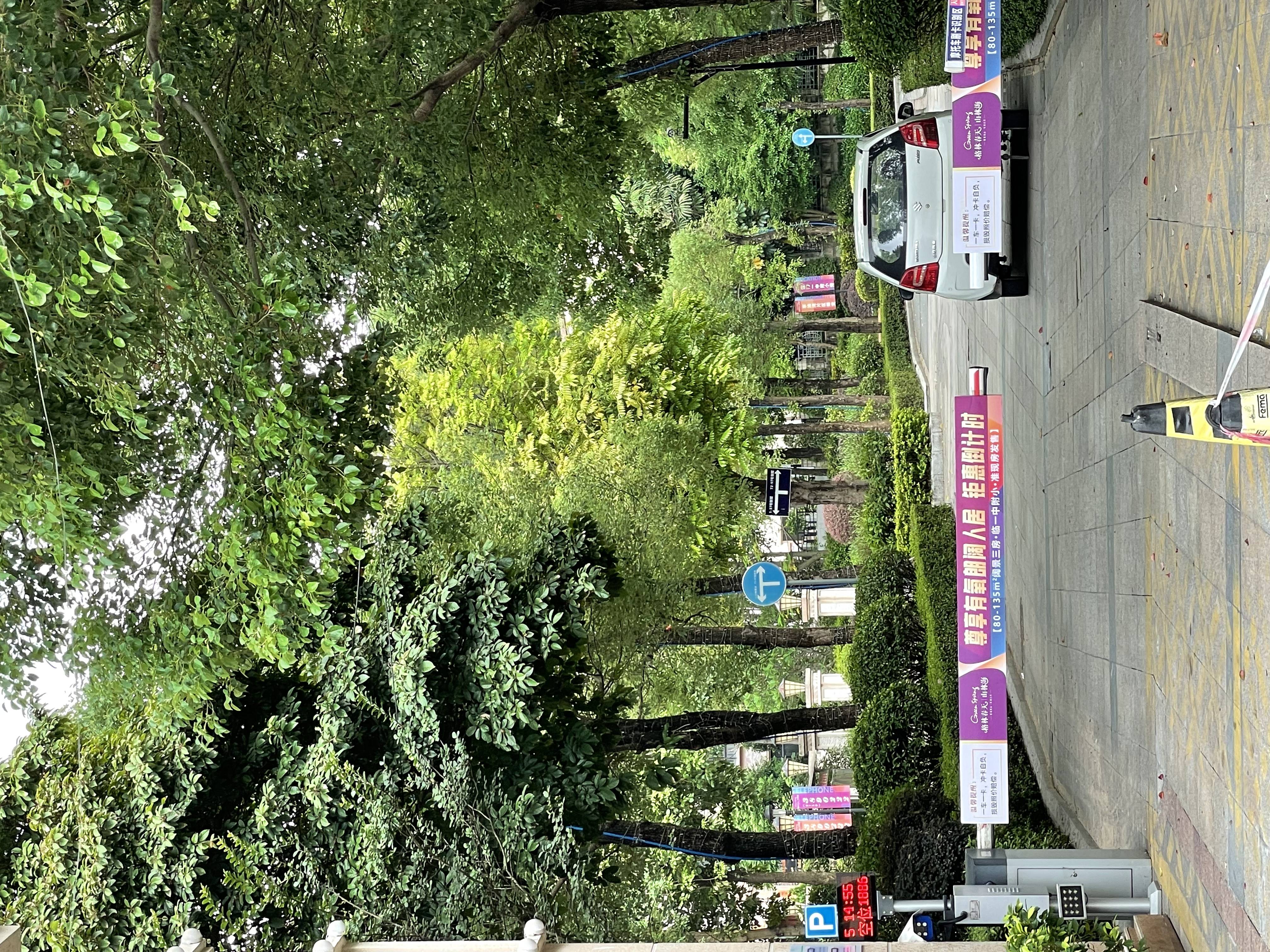 格林春天