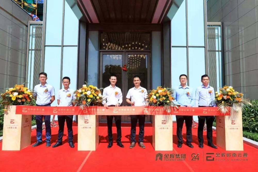 金辉岭南云著