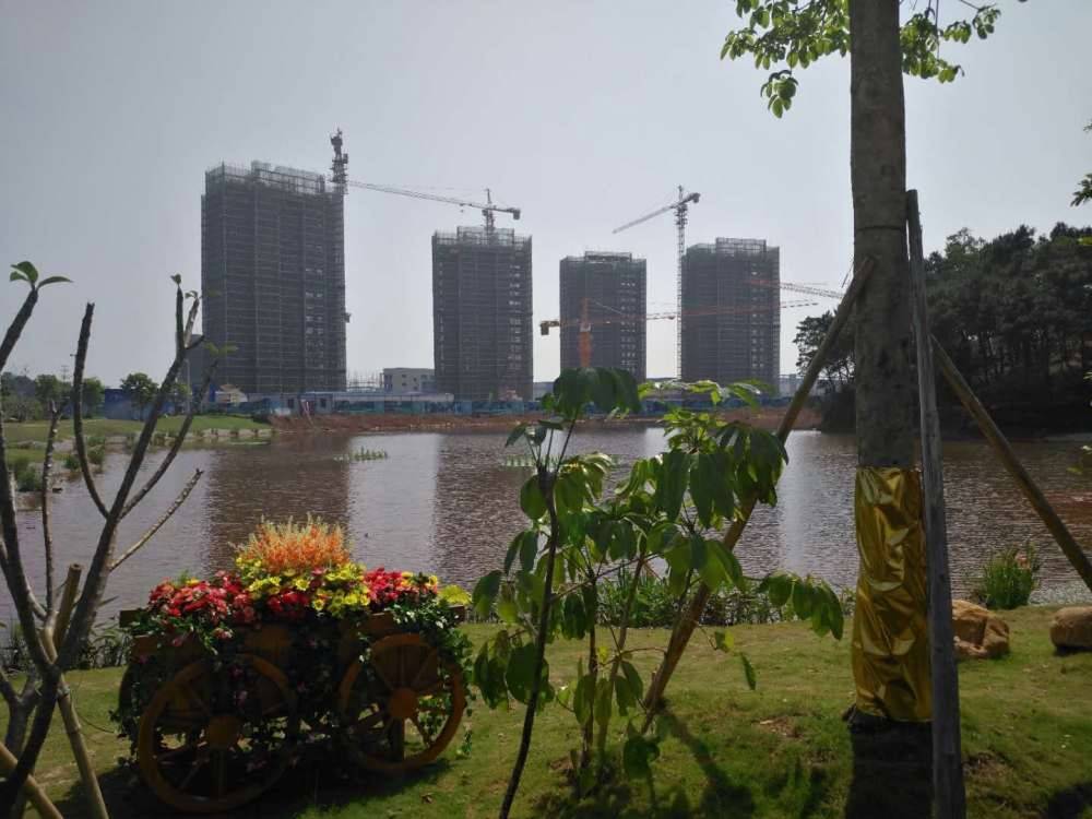 中昂翠屿湖