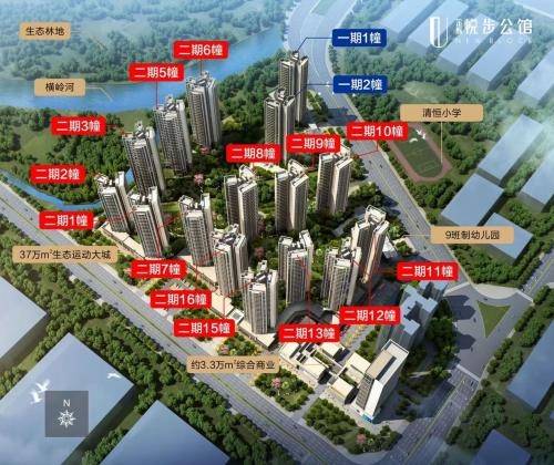 金辉悠步观澜