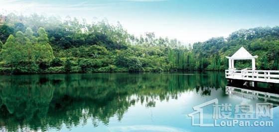 碧桂园湖光山色