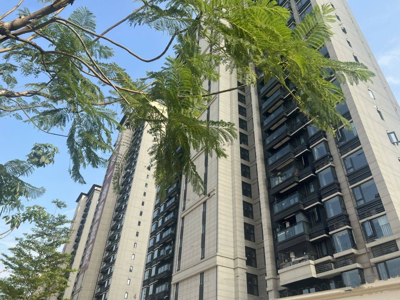 保利滨湖堂悦