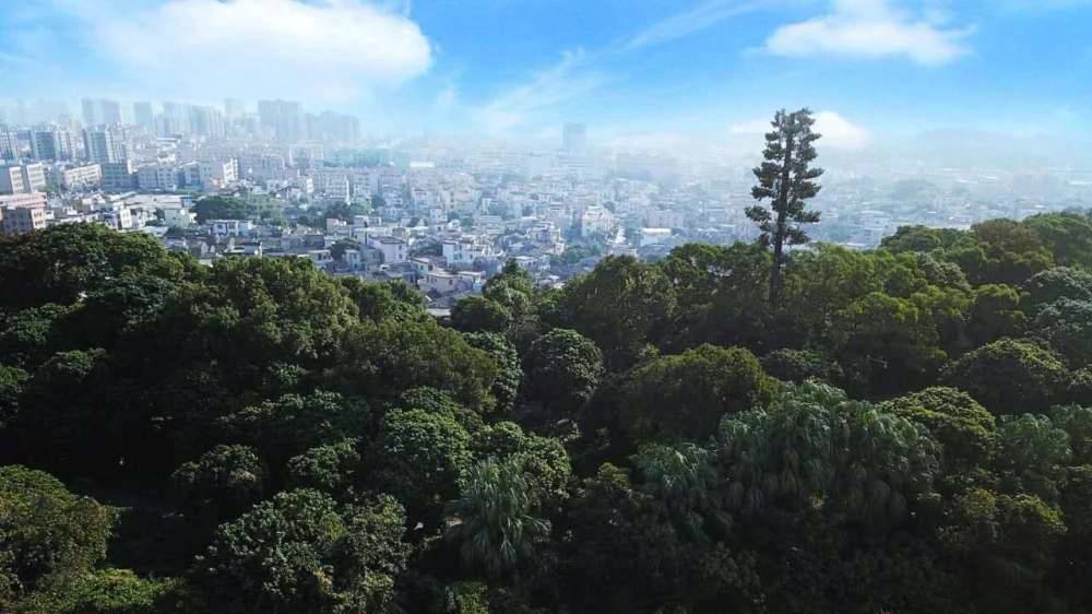 龙光玖龙山