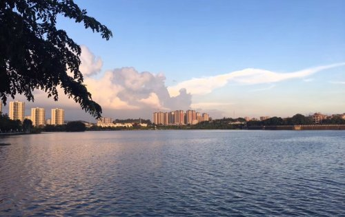 丰泰湾区风华世家