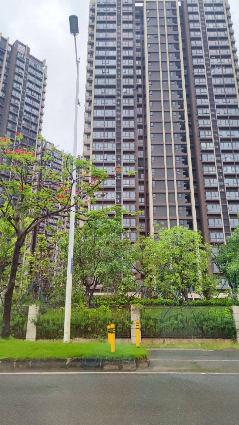 万科中交金枫花园