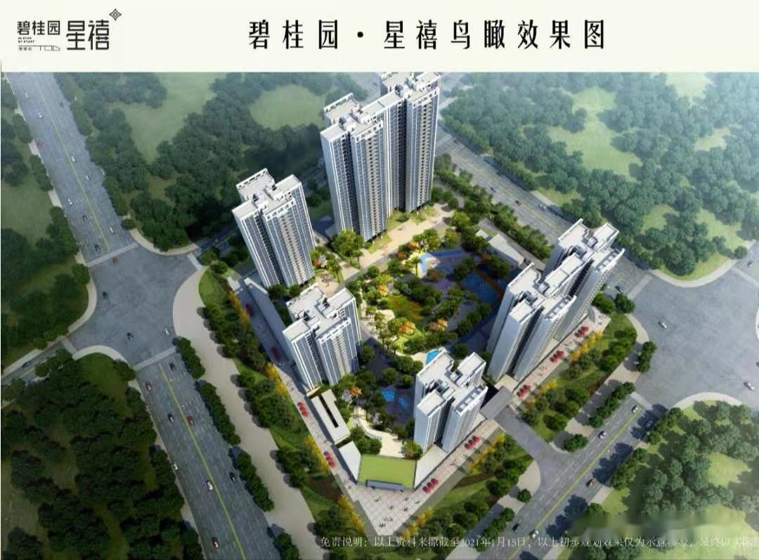 碧桂园星禧