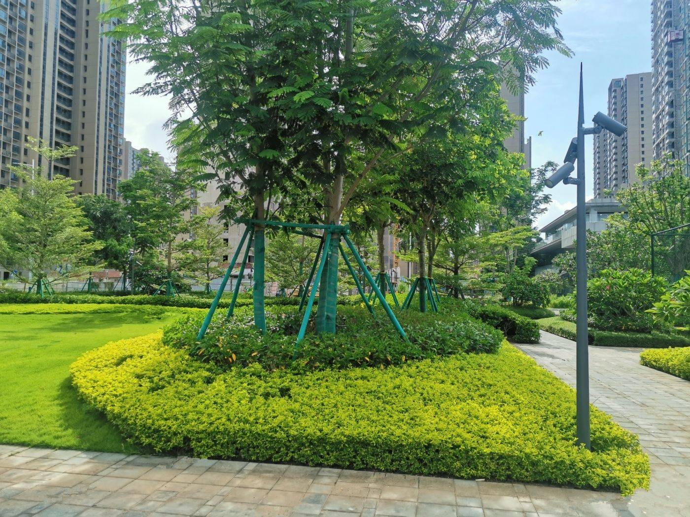 保利鹿江来