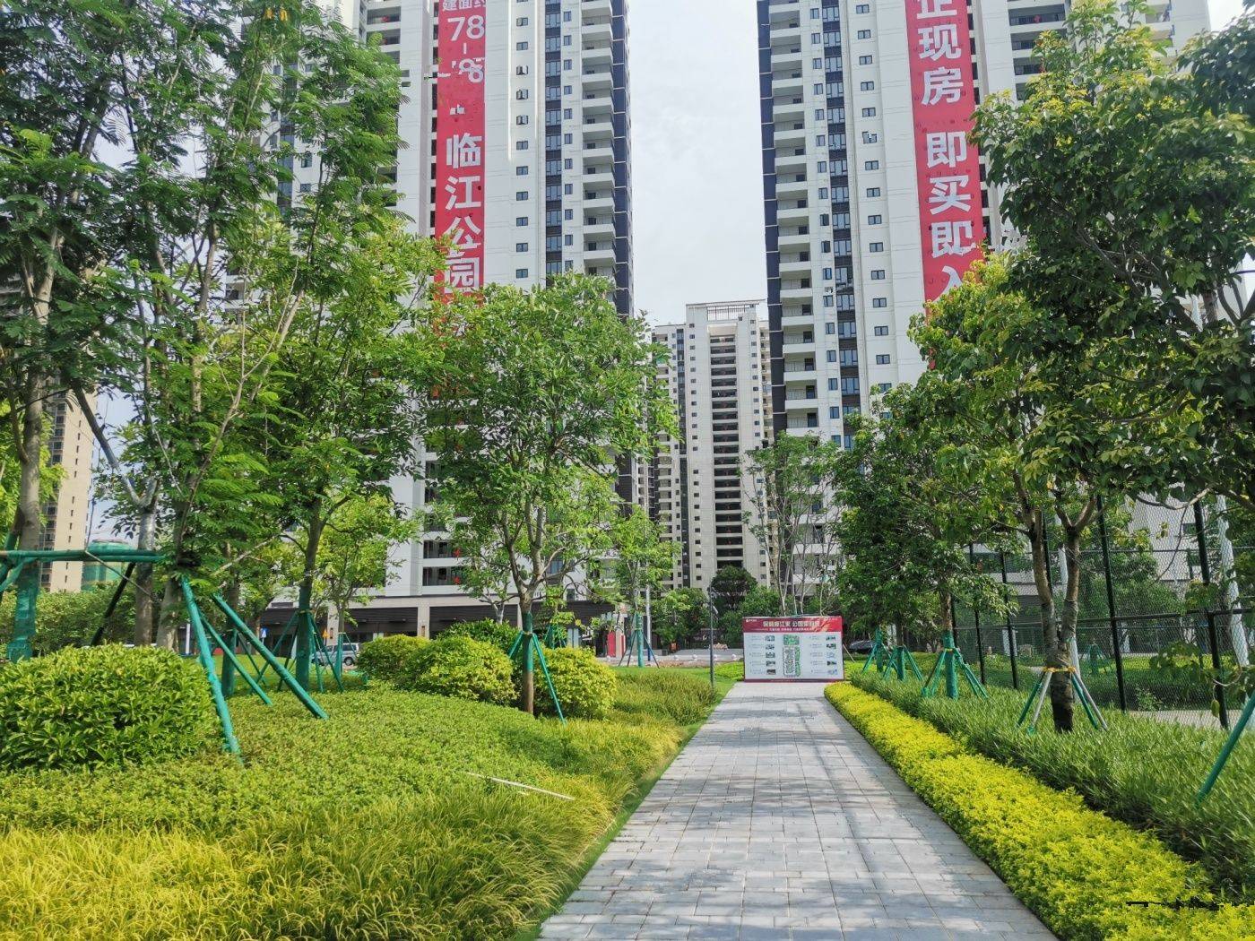 保利鹿江来