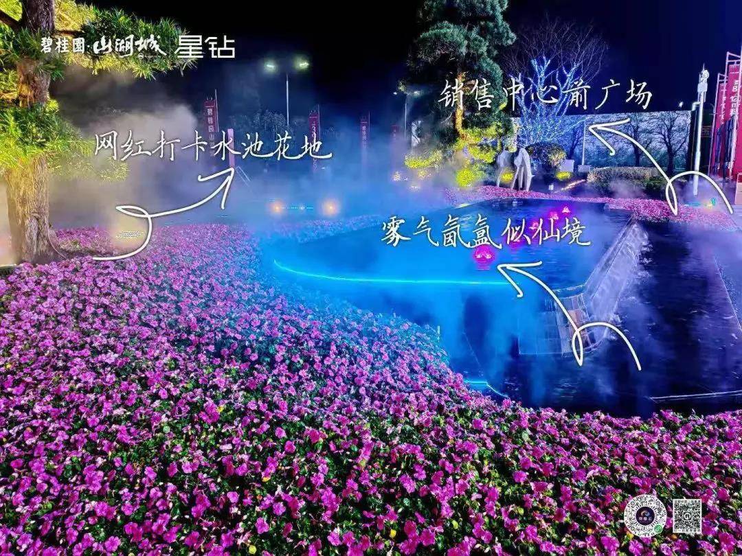 碧桂园星钻