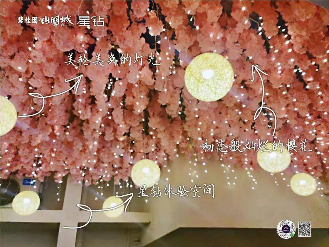碧桂园星钻