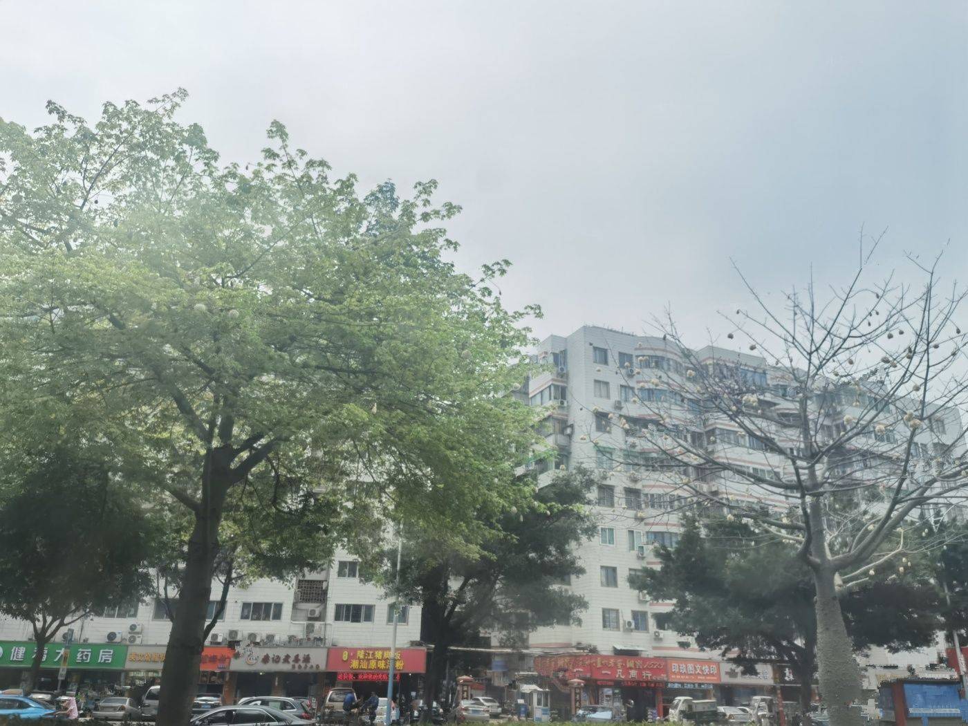 绿城江府海棠