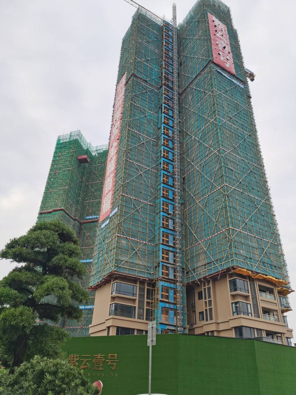 紫云壹号