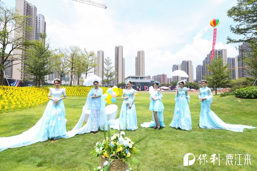 保利鹿江来