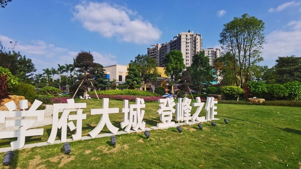 紫云壹号