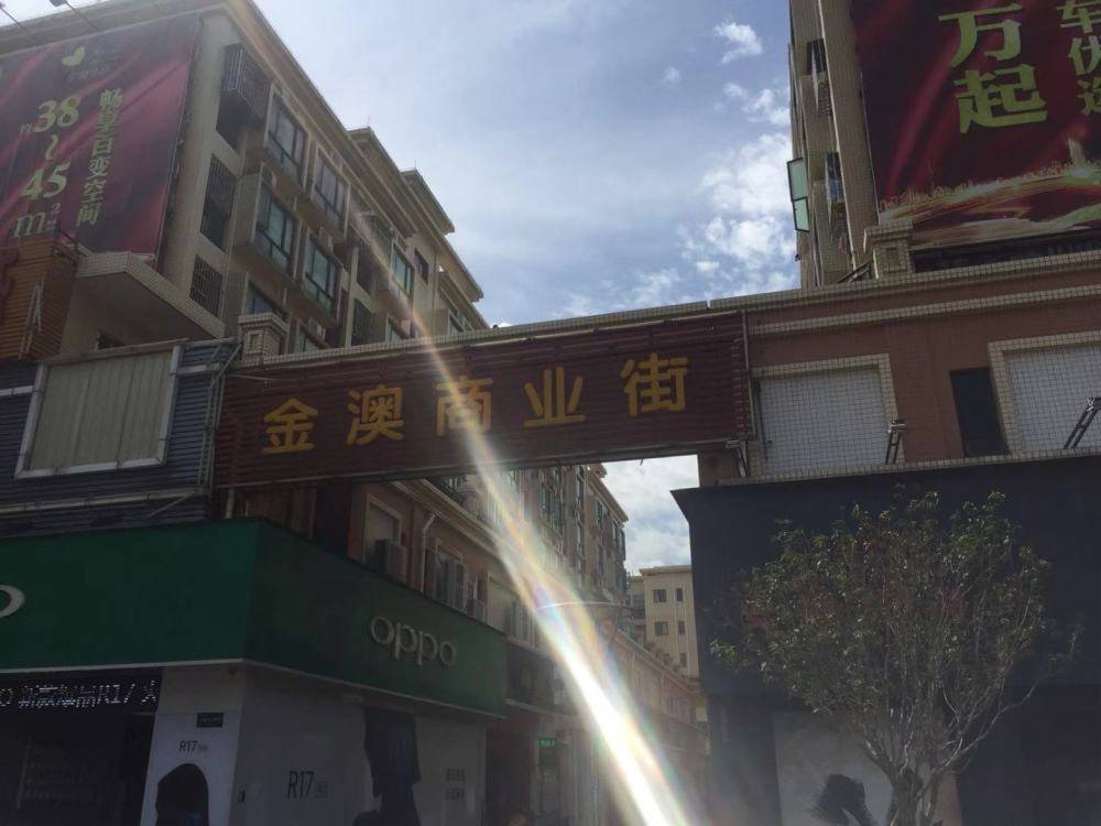 金澳华庭