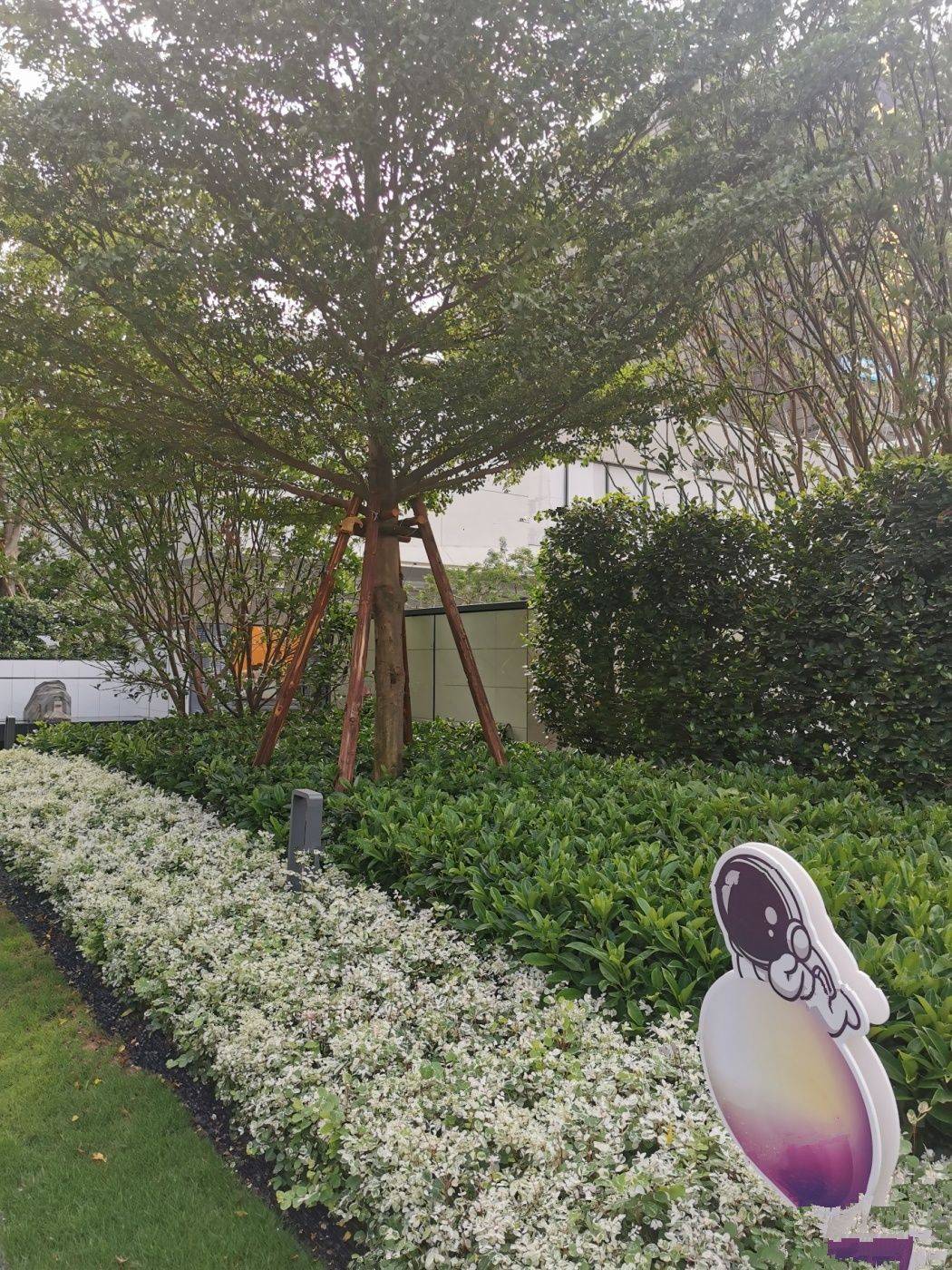 雅居乐保利中建天骄