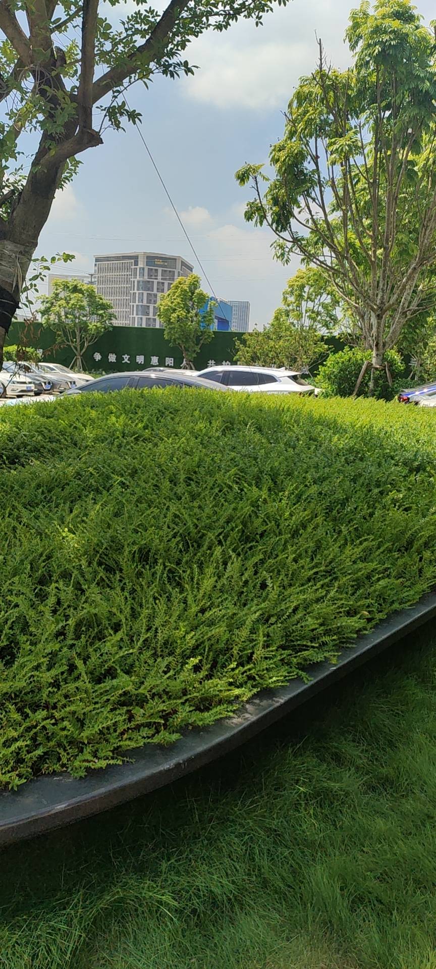金辉澜林花园