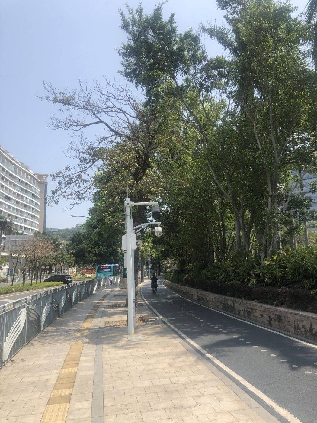 星都梅沙天邸