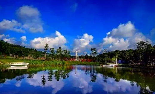 科恒悦立方