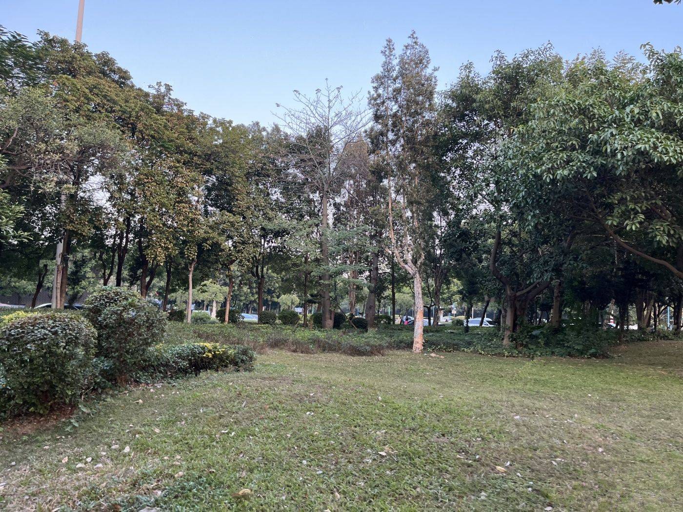 鼎峰公园豪庭