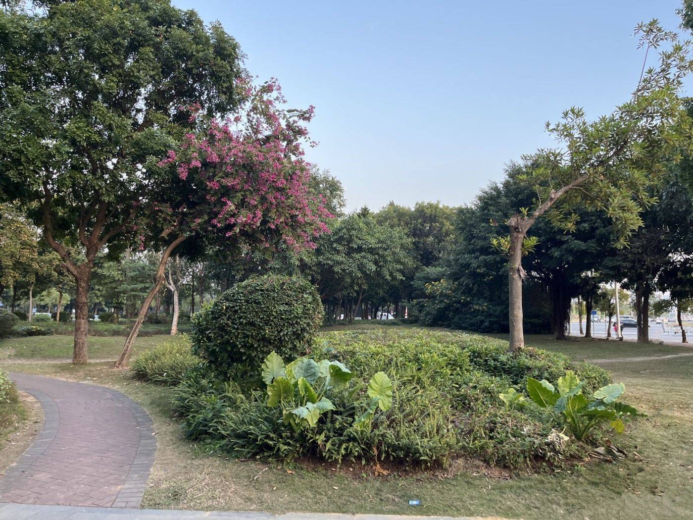 鼎峰公园豪庭