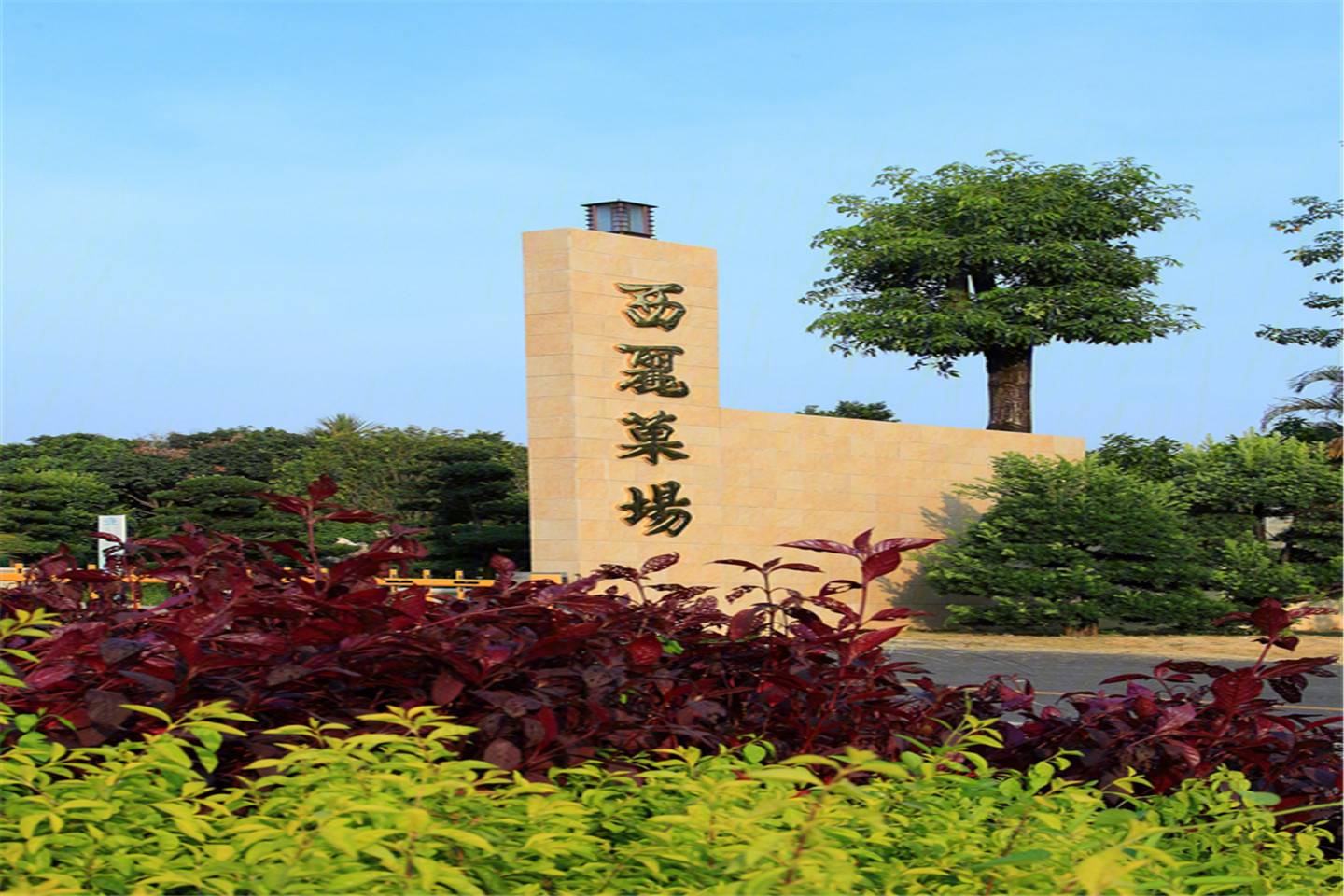 远洋天著