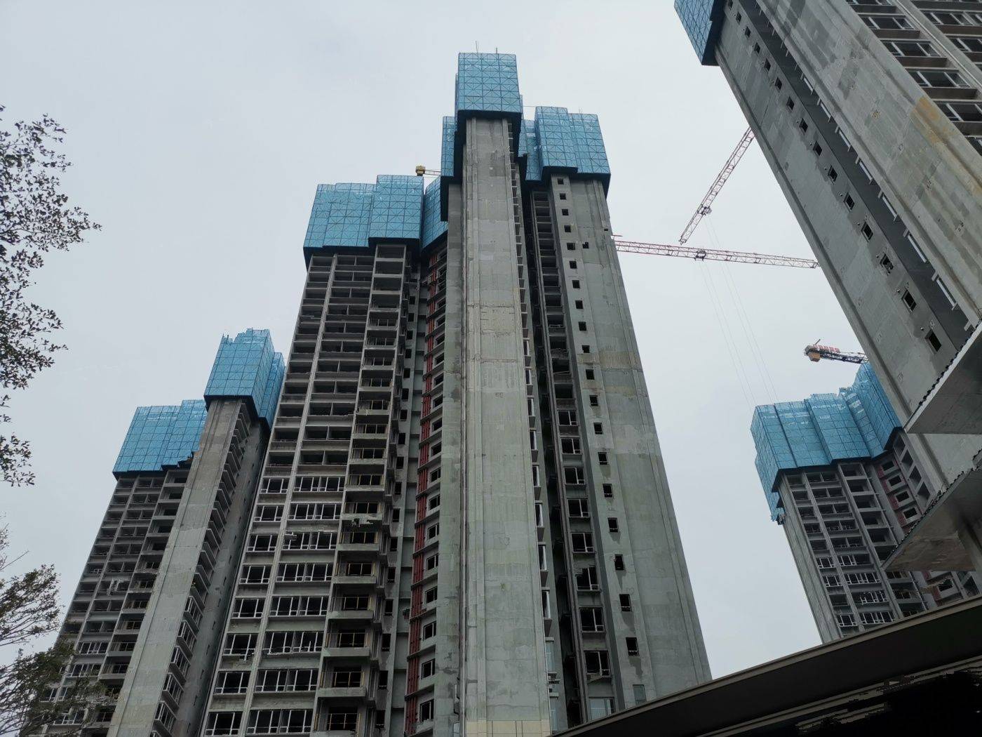 中海观园