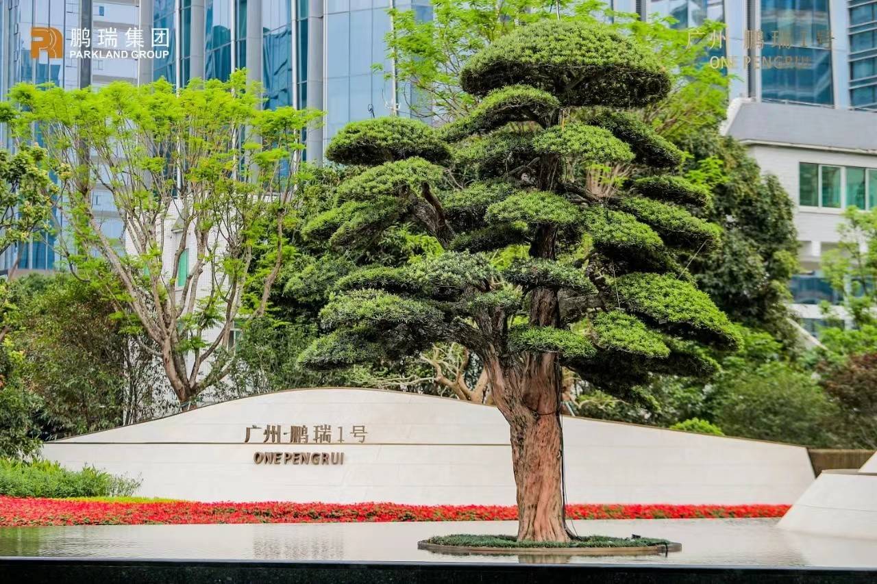 广州鹏瑞1号