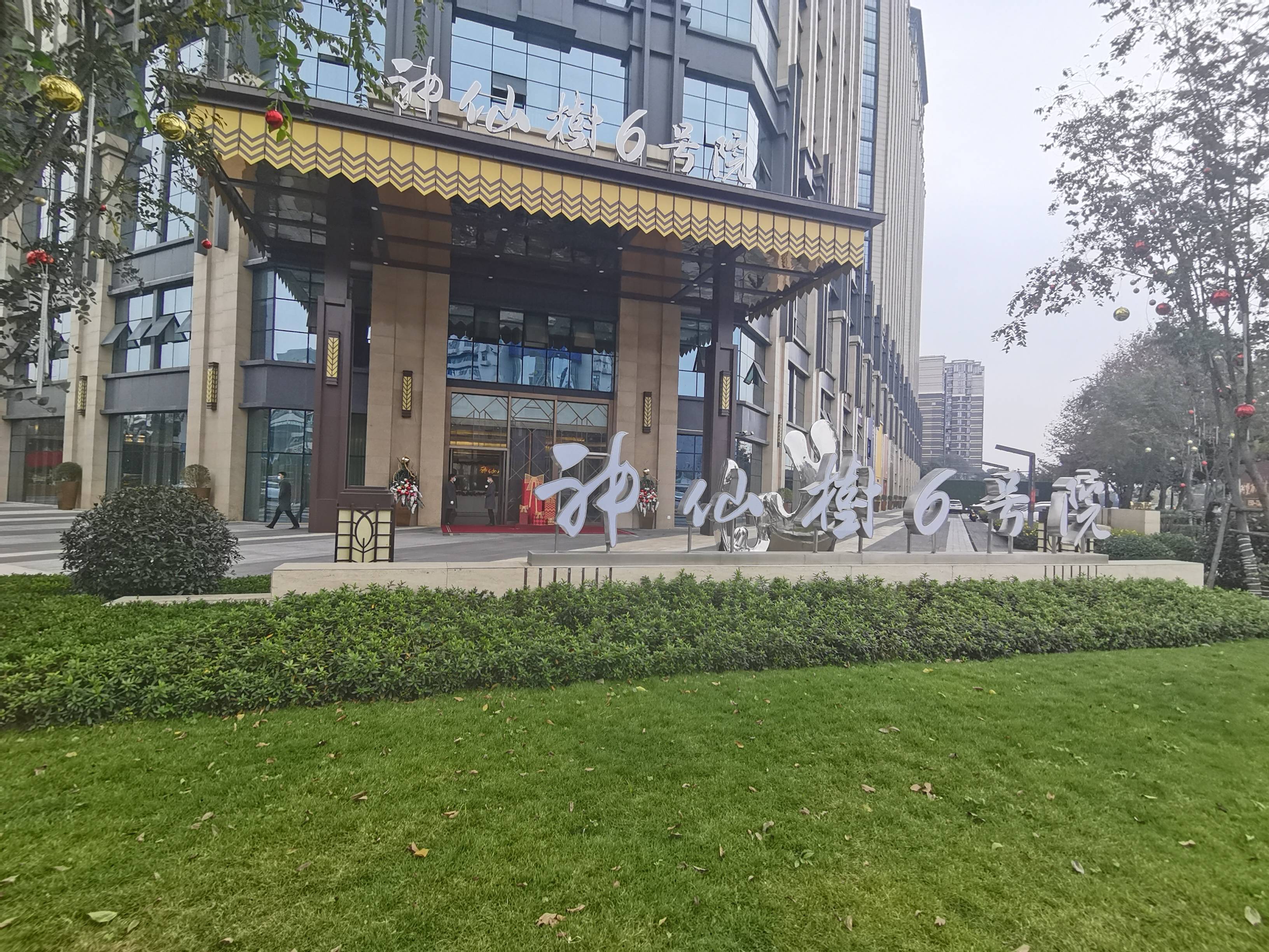 神仙树6号院