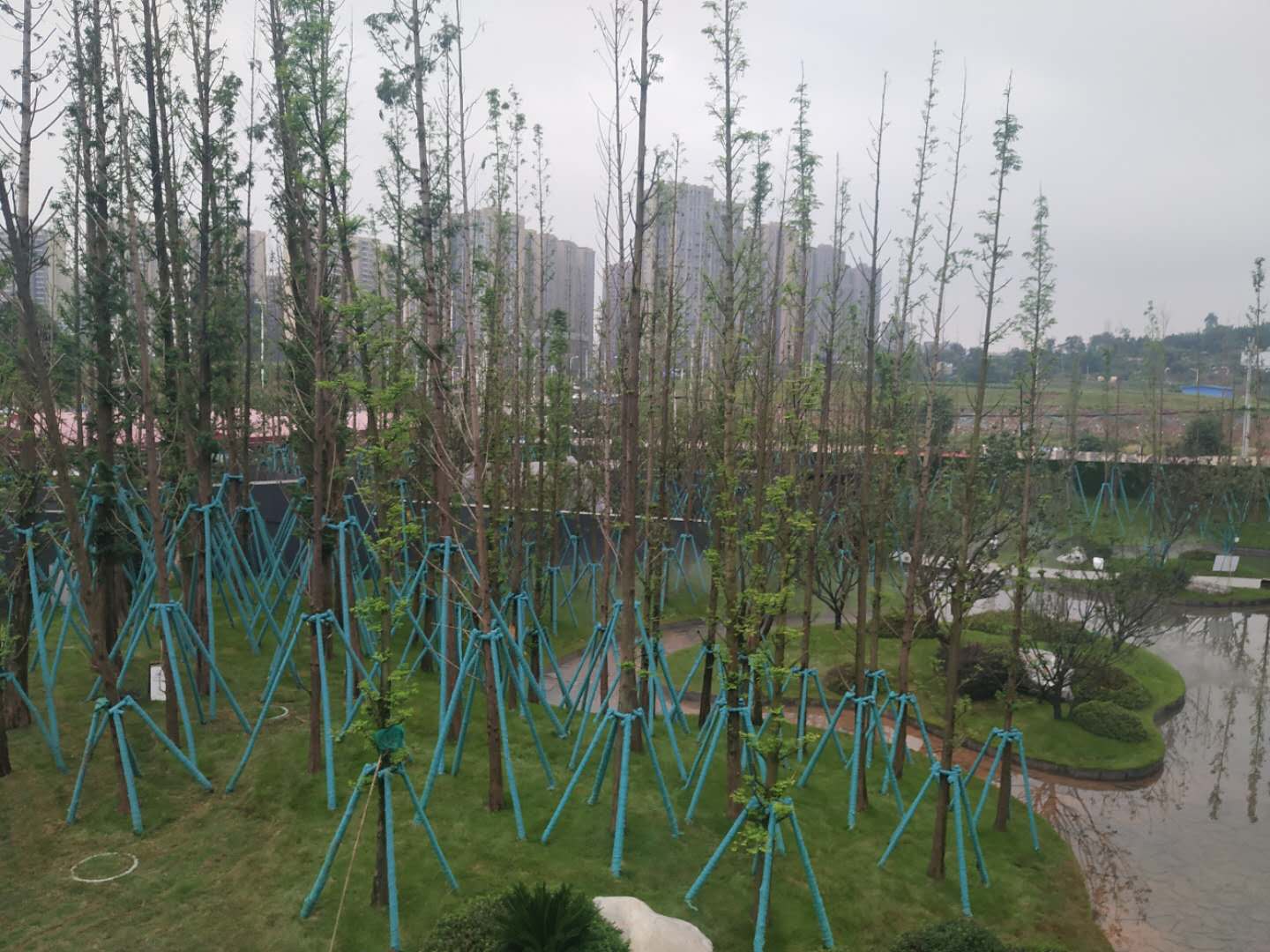 金科博翠山