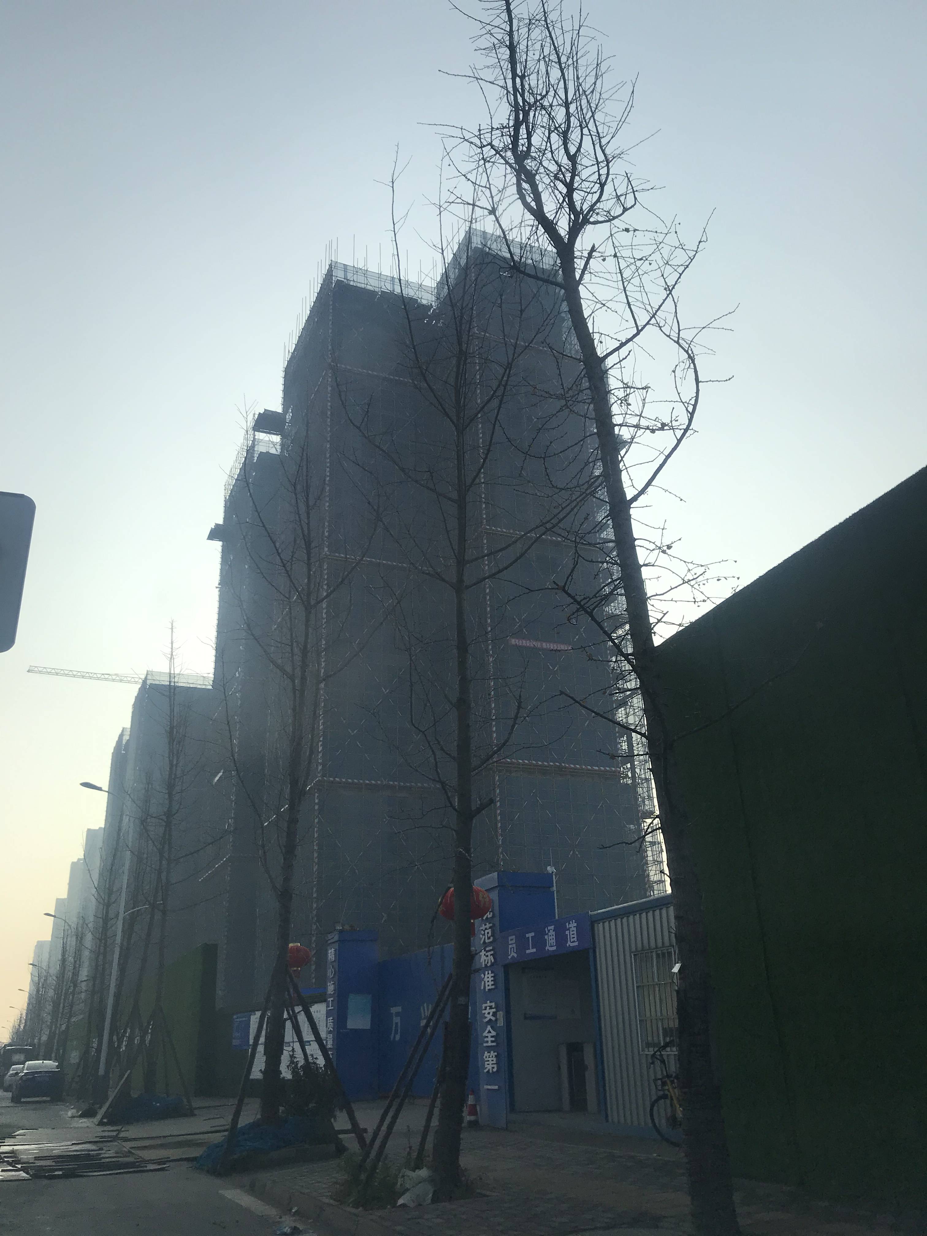 西宸春天