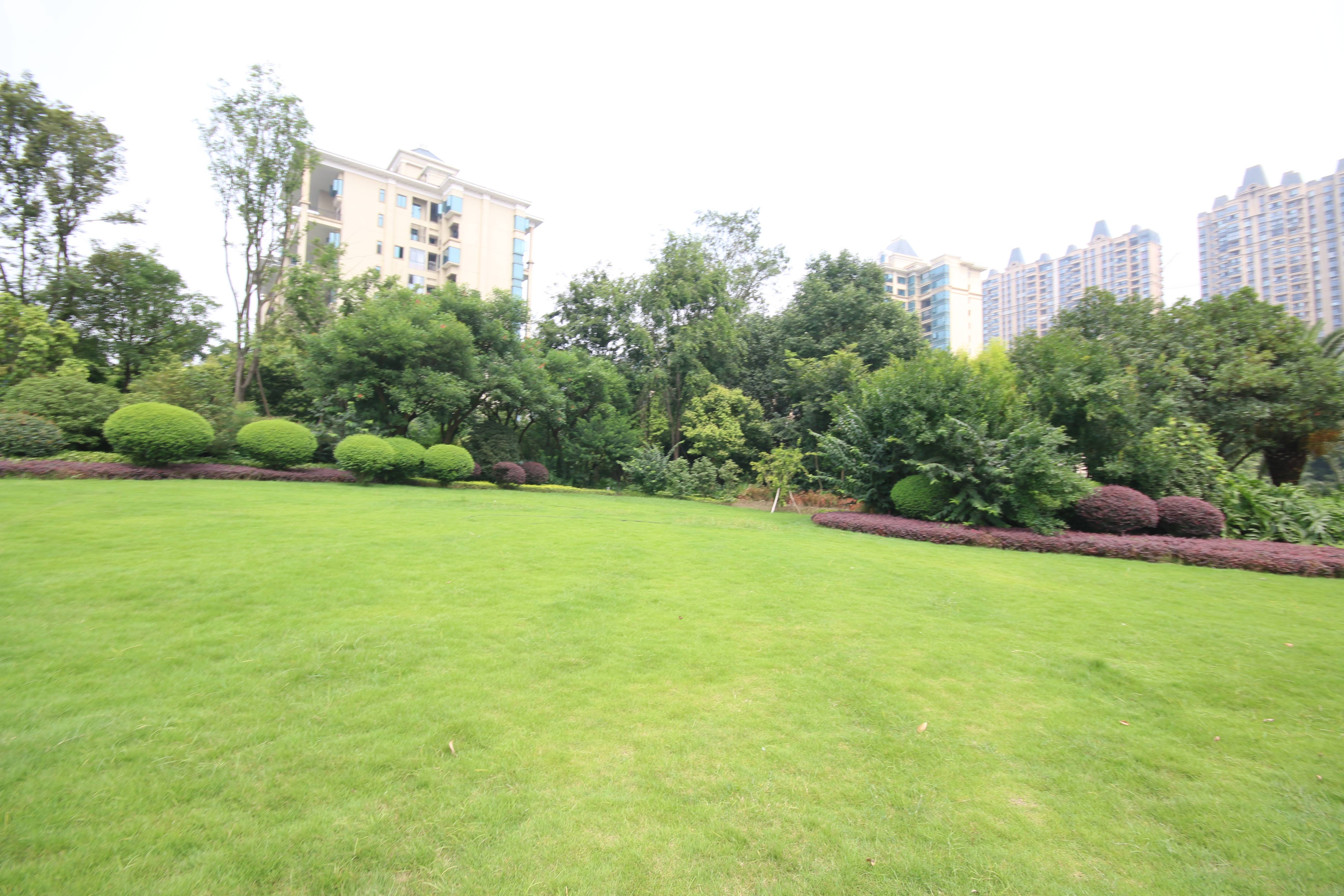 恒大御景半岛