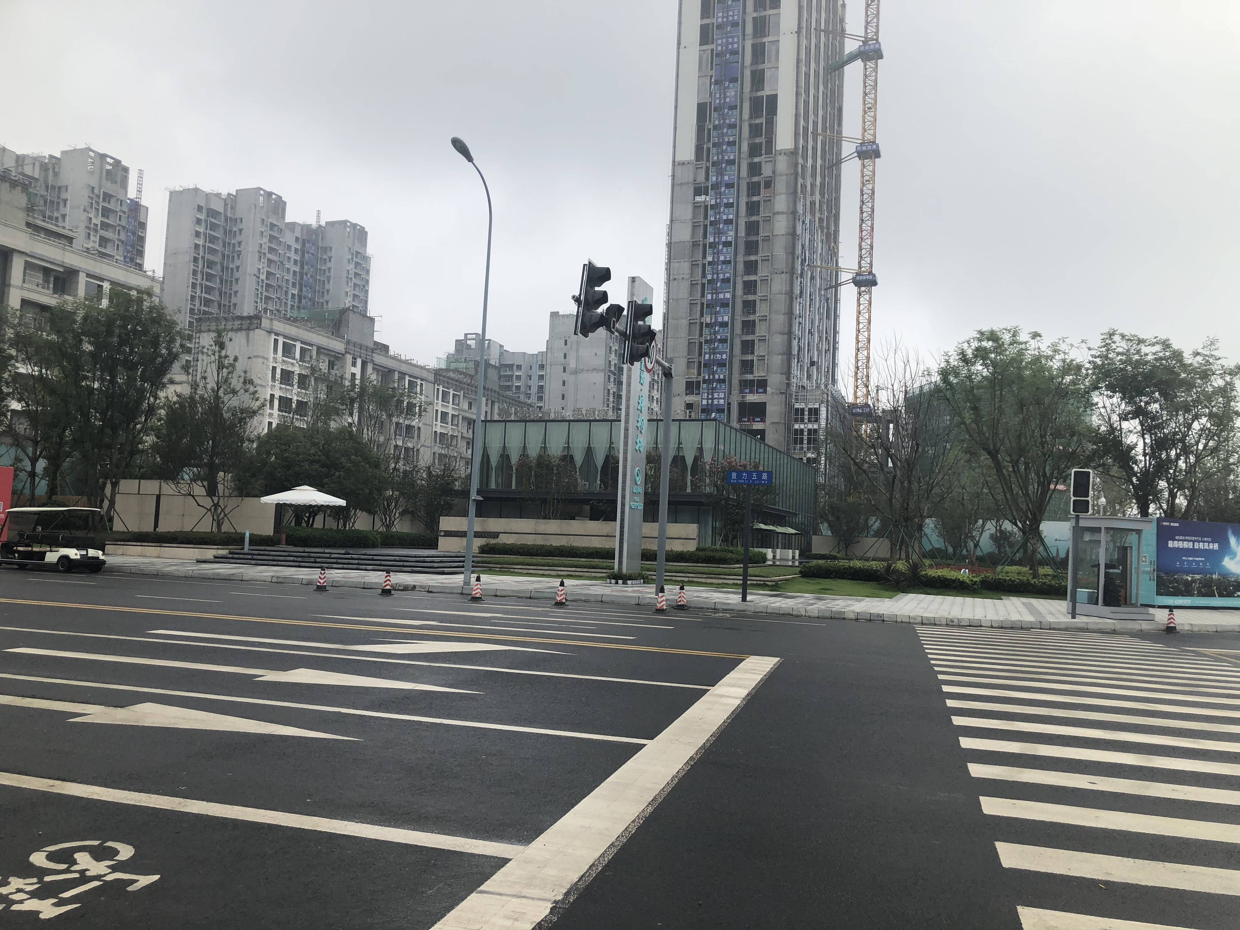 城投置地梧桐栖