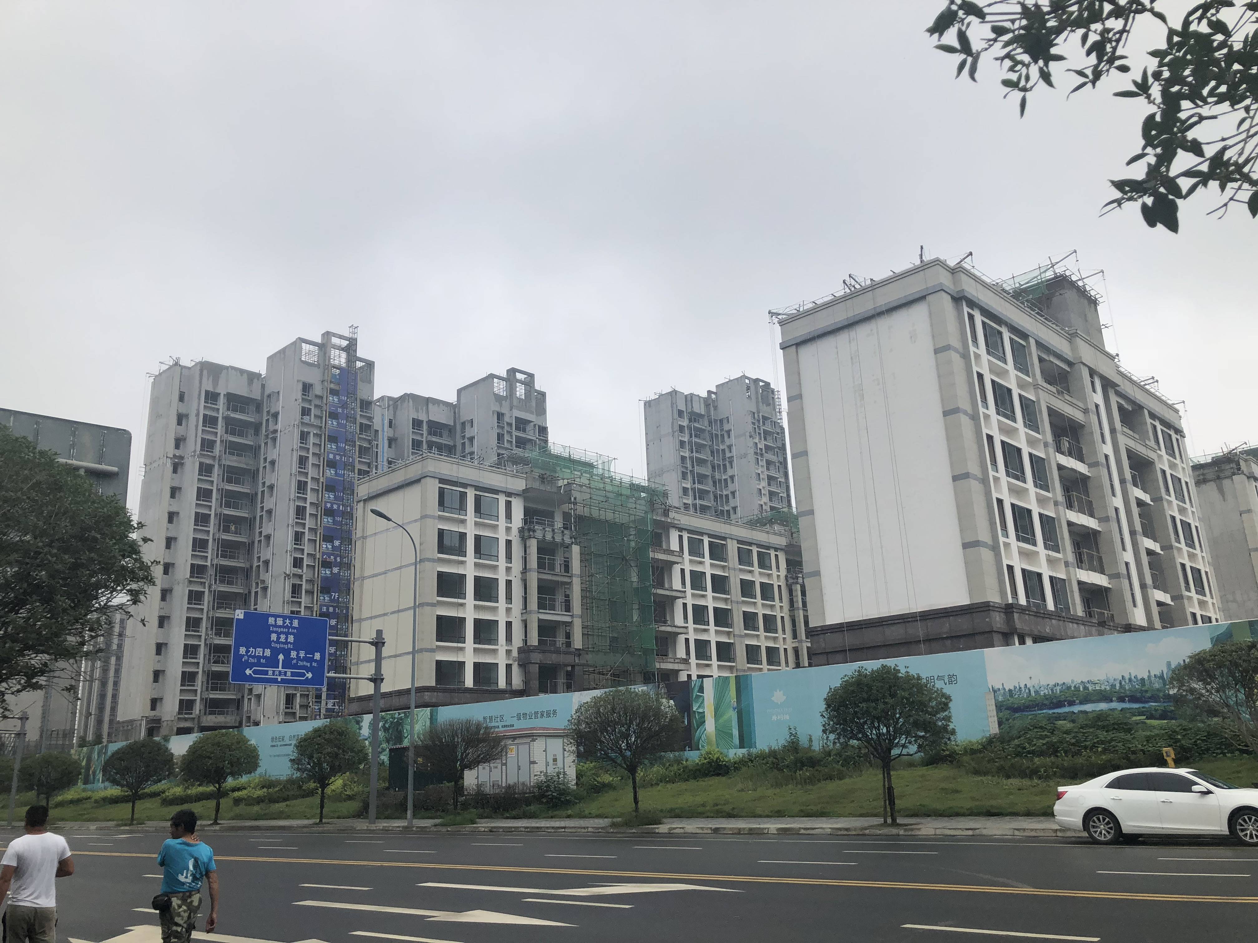 城投置地梧桐栖