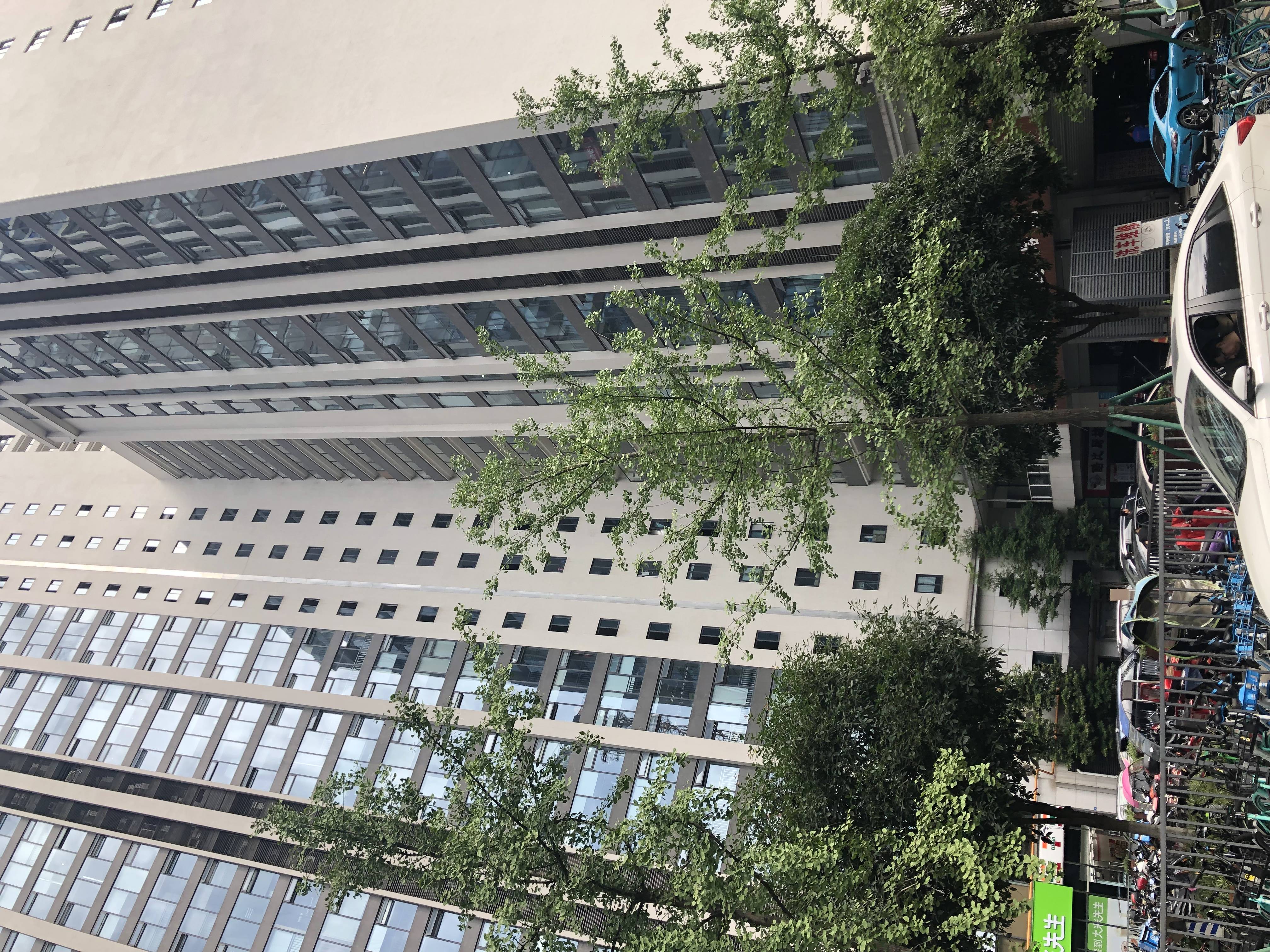莱普敦中心