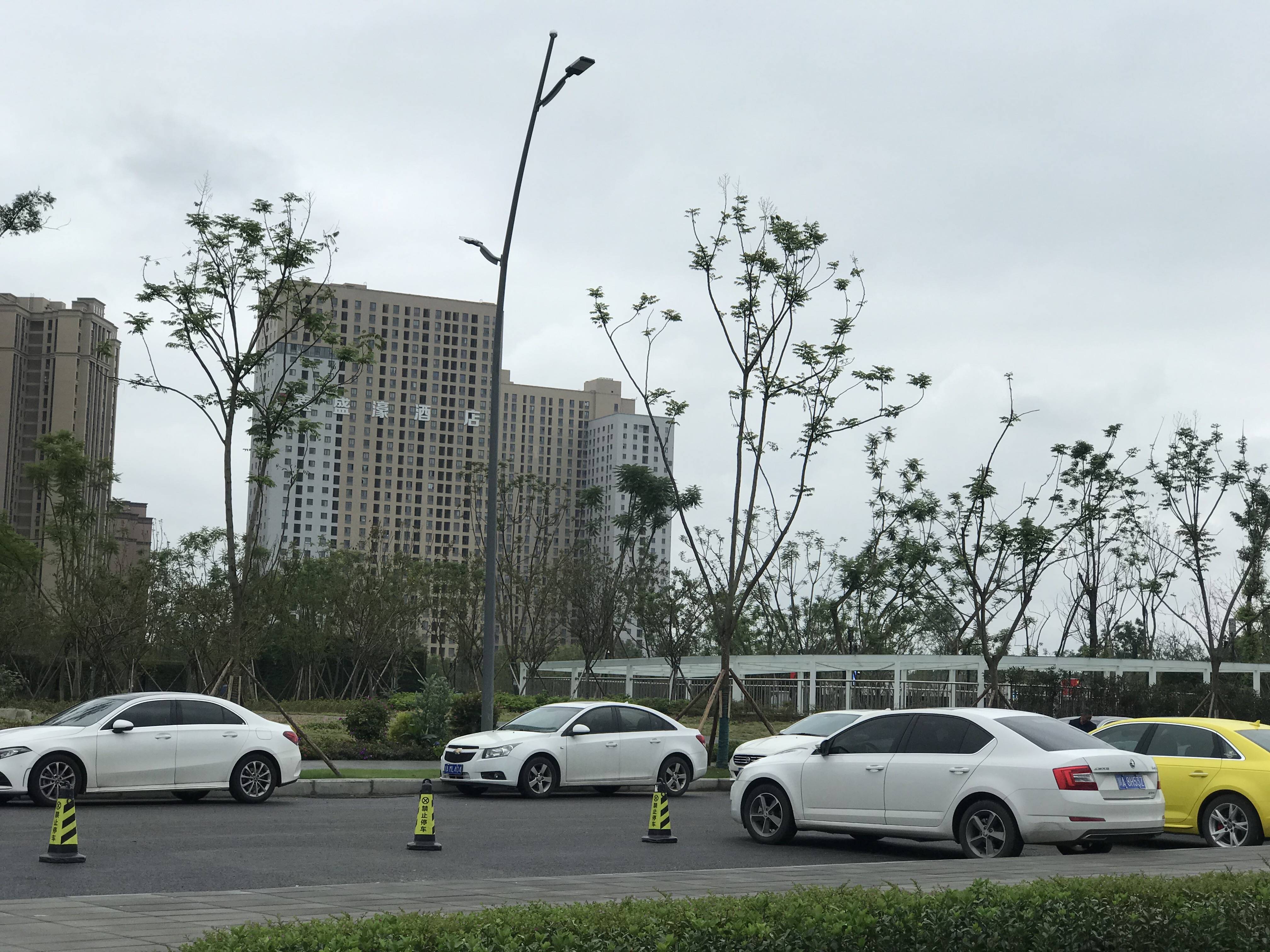 金科中梁美院
