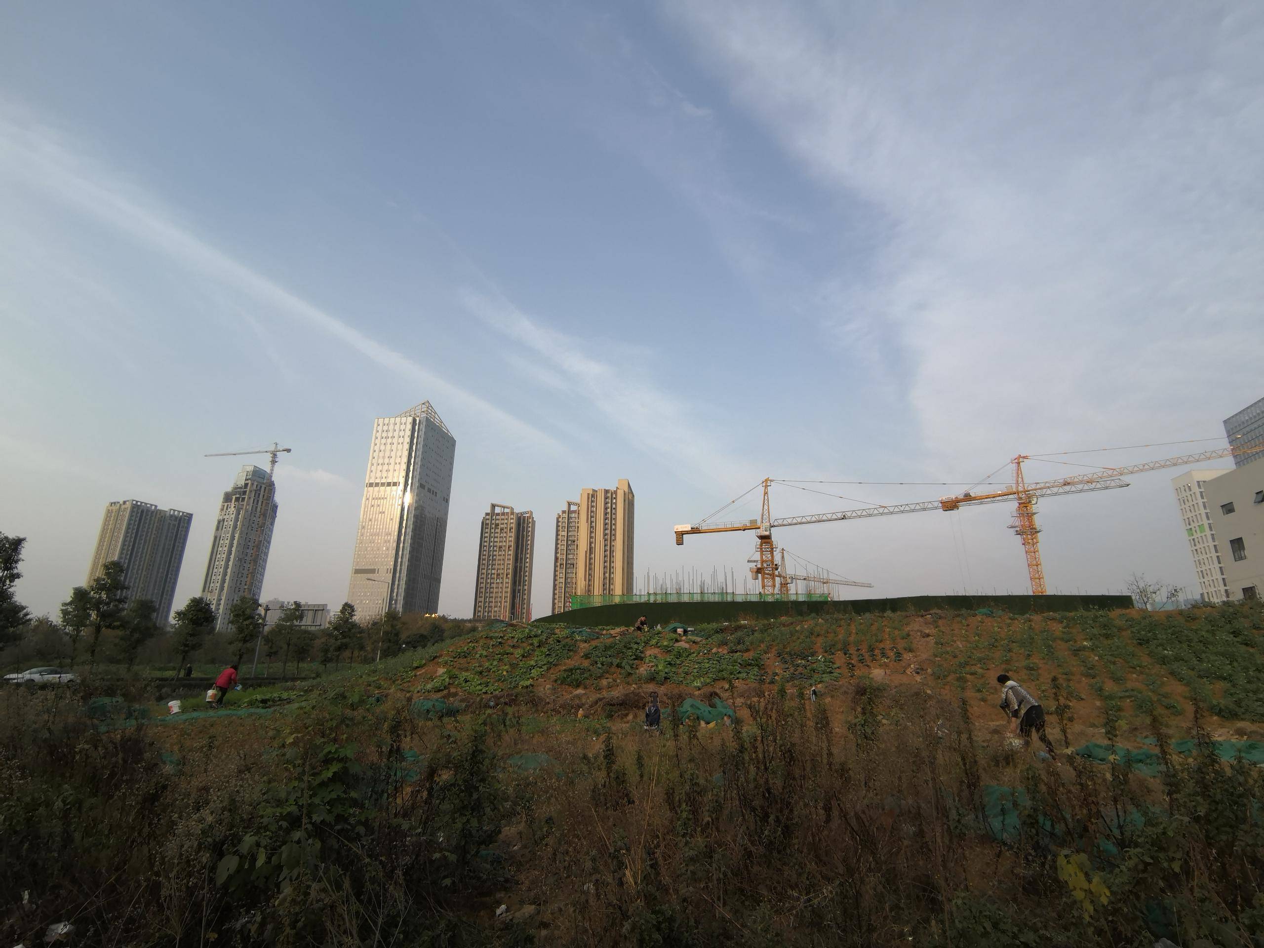 人居九林语