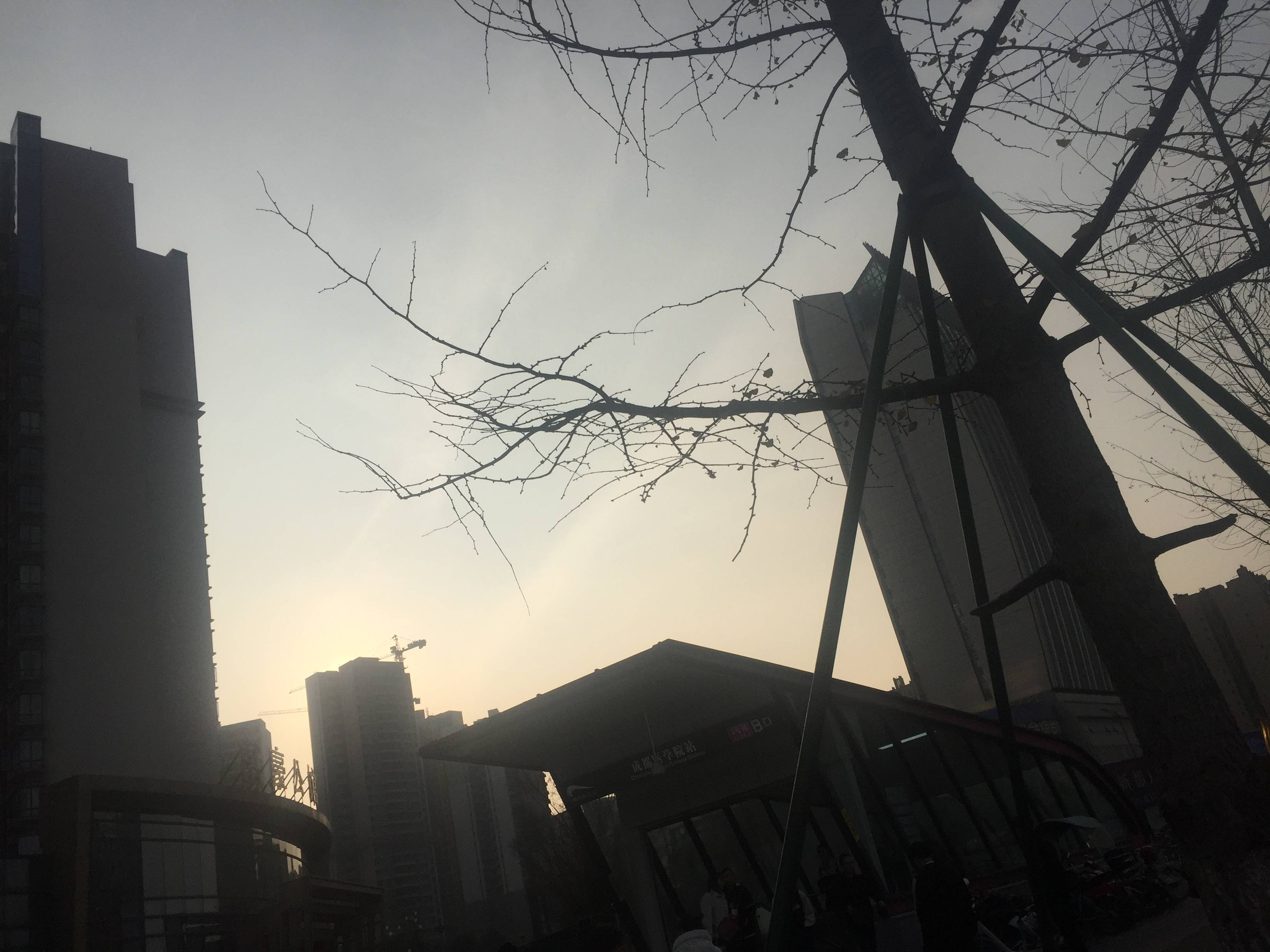 爱普新鸿府