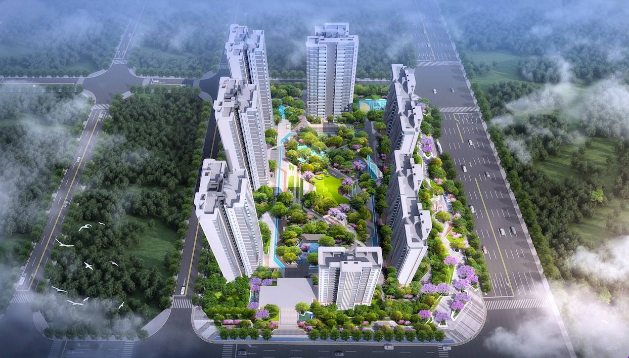 信智东岸