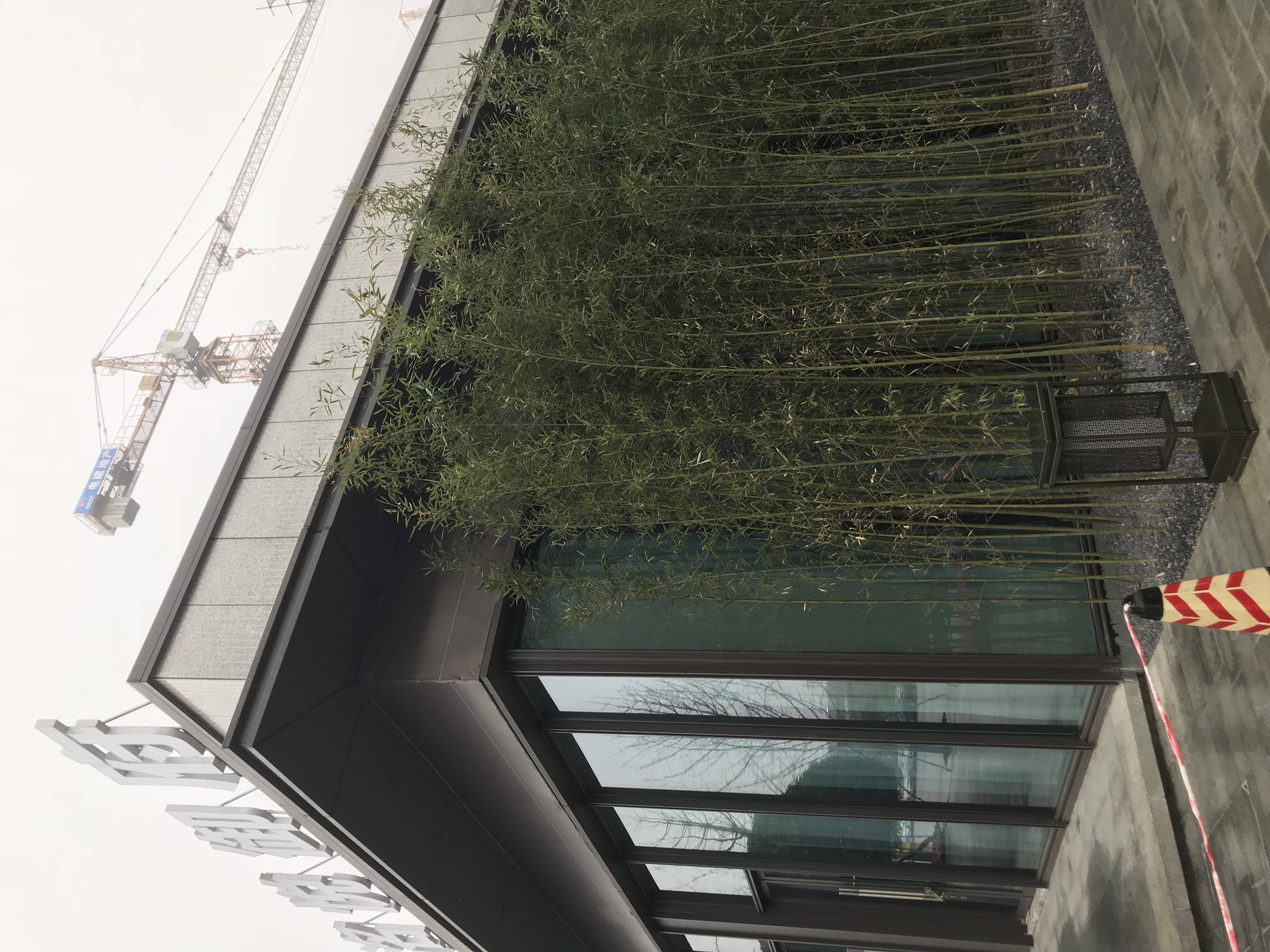 电建地产洺悦御府
