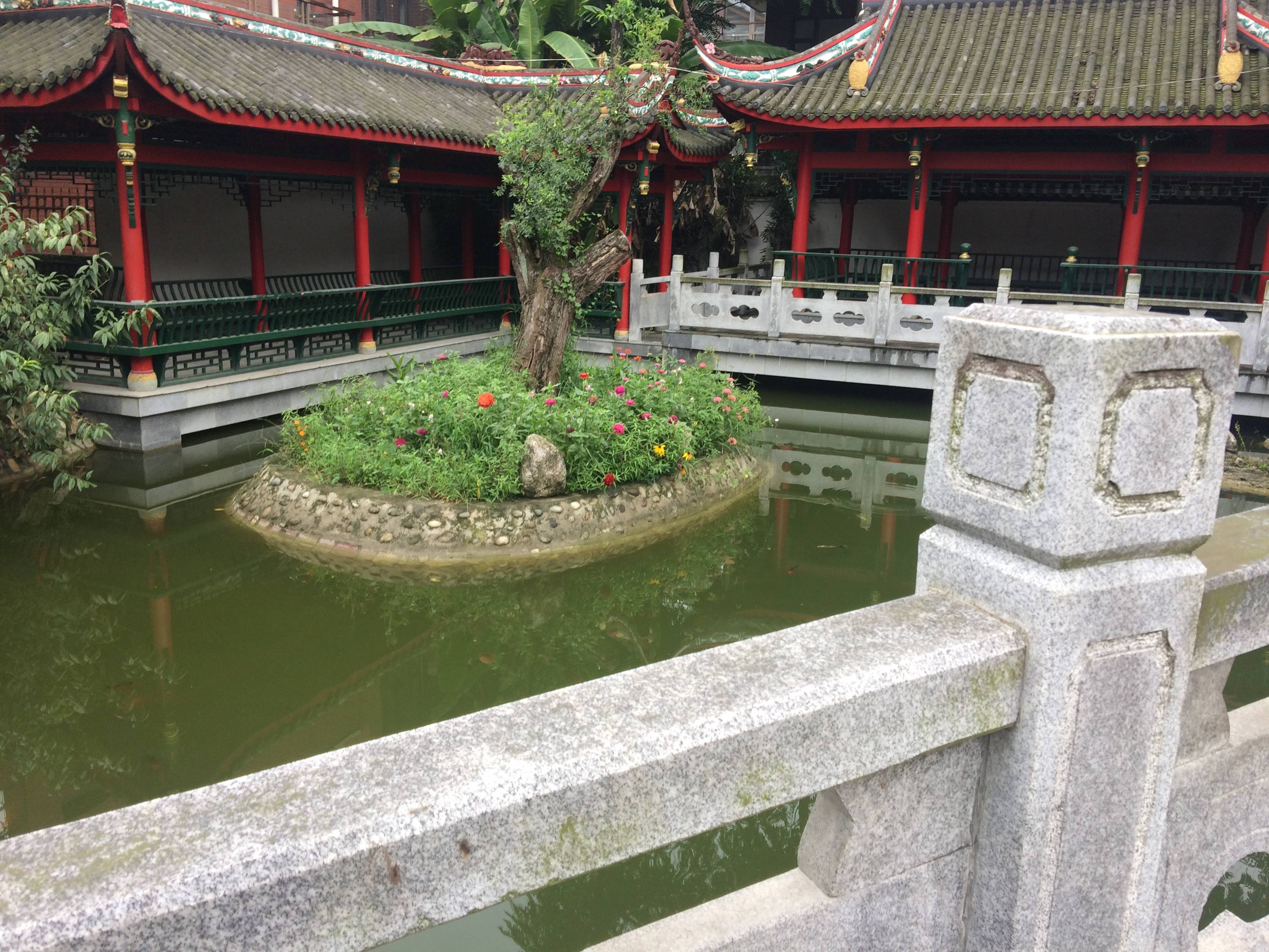 杜鹃城千万间