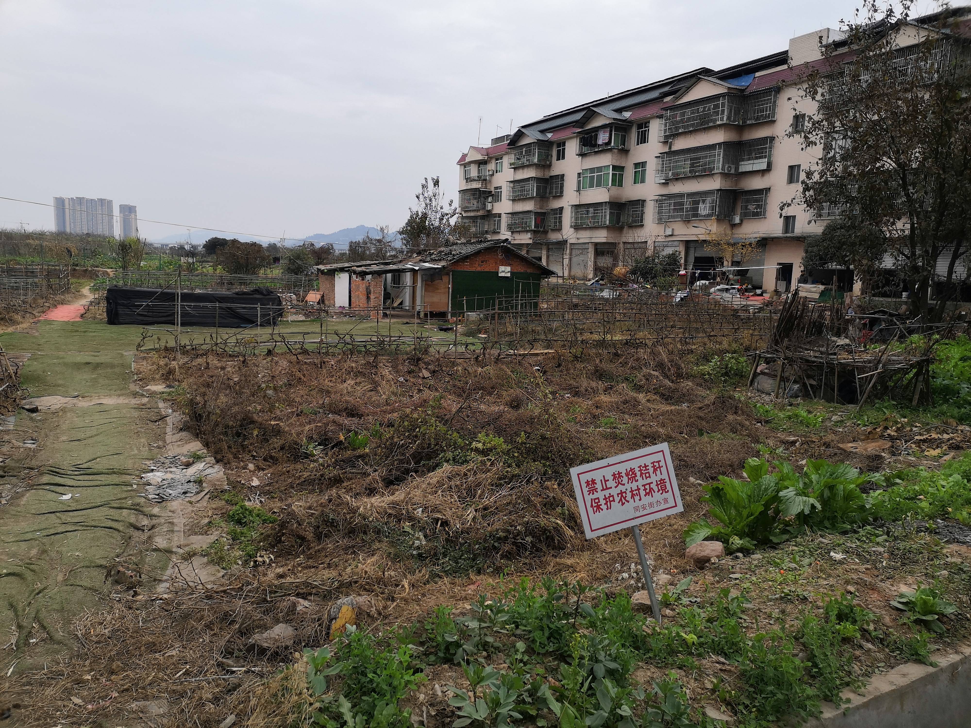 龙润丰锦