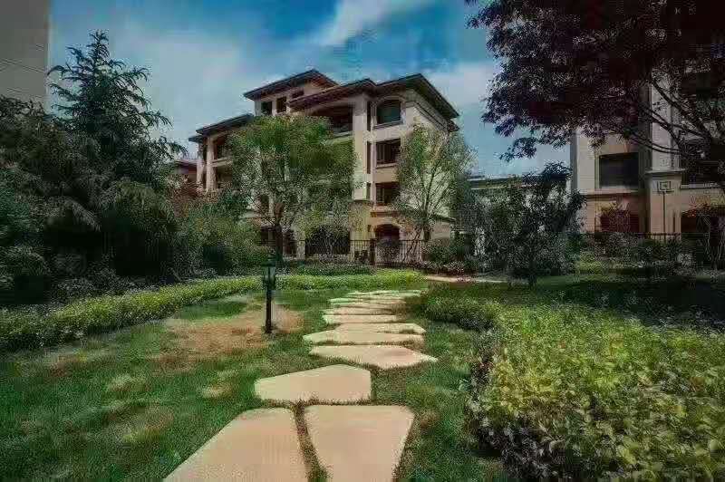鲁能胜地泰山九号