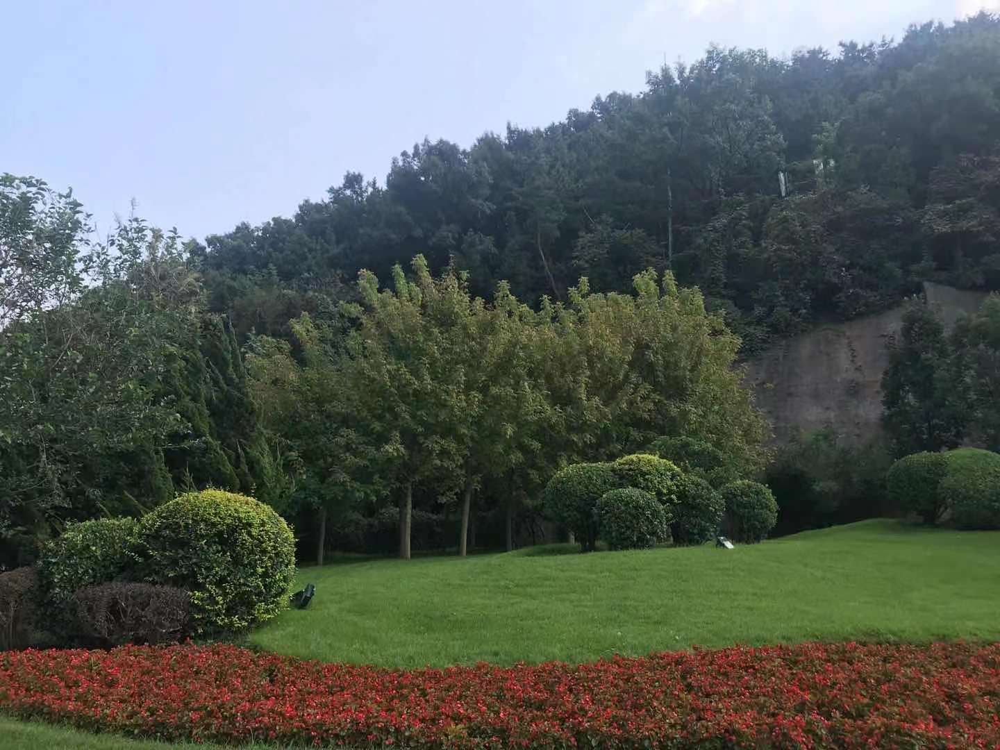 迎滨府