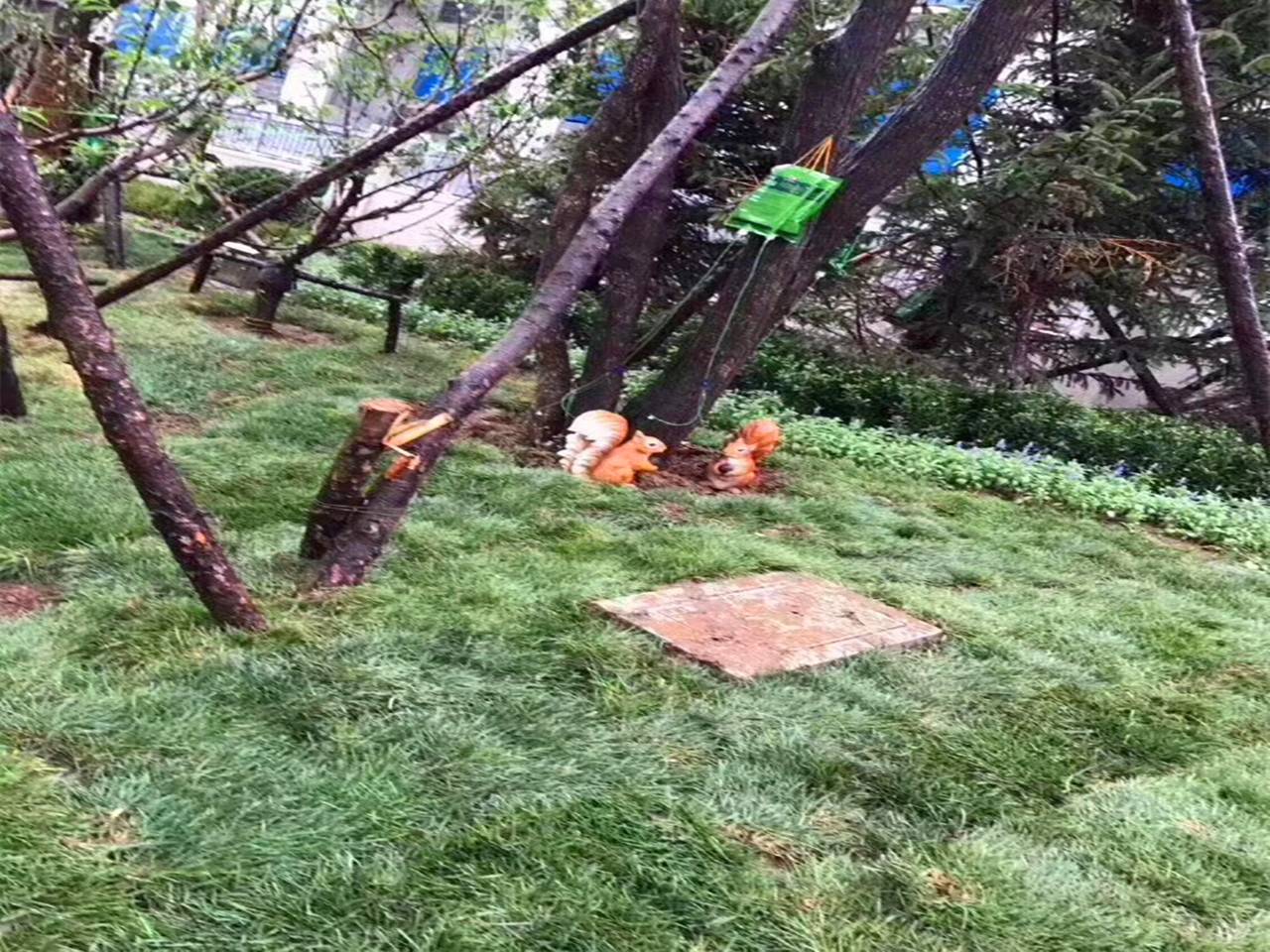 中华城领第