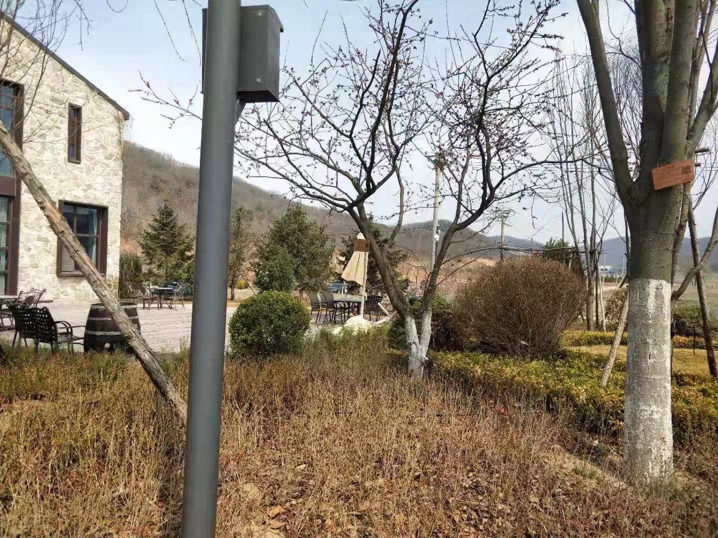 绿城玫瑰园葡萄酒小镇