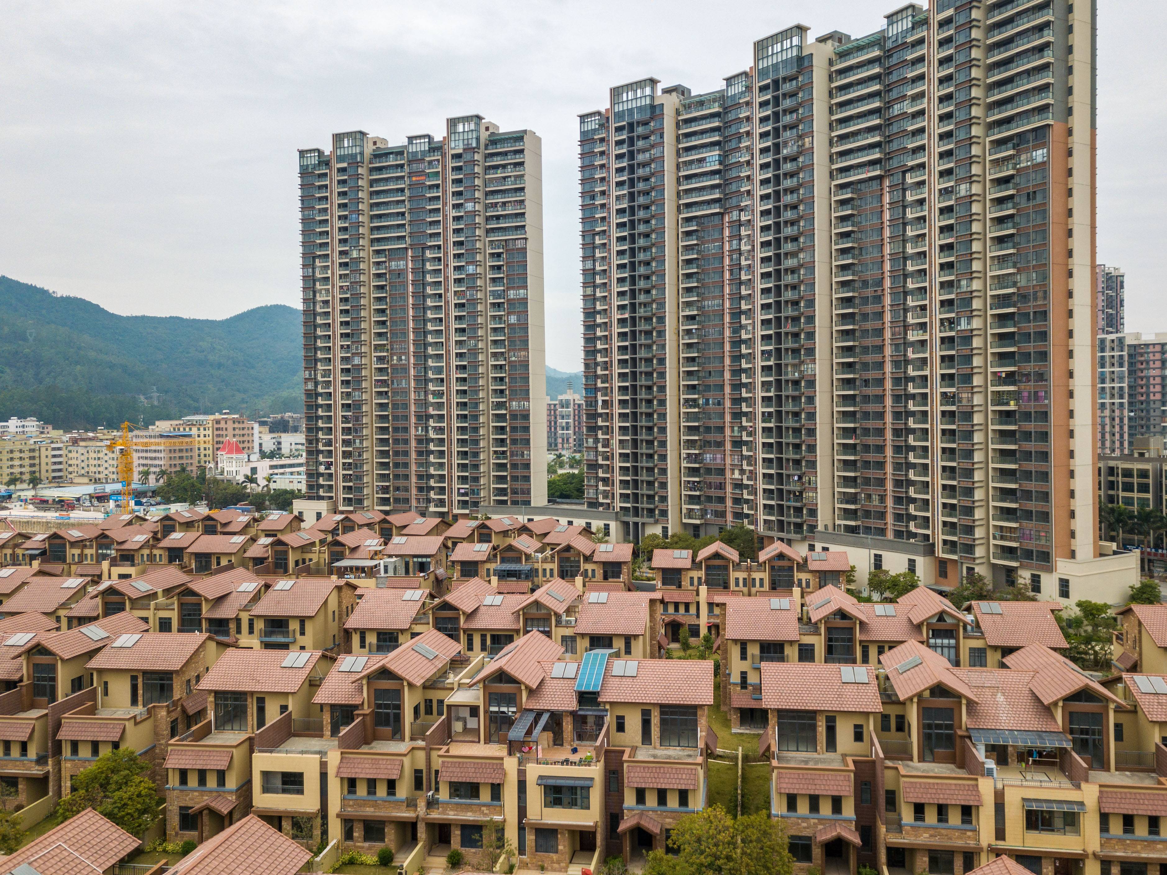实地常春藤