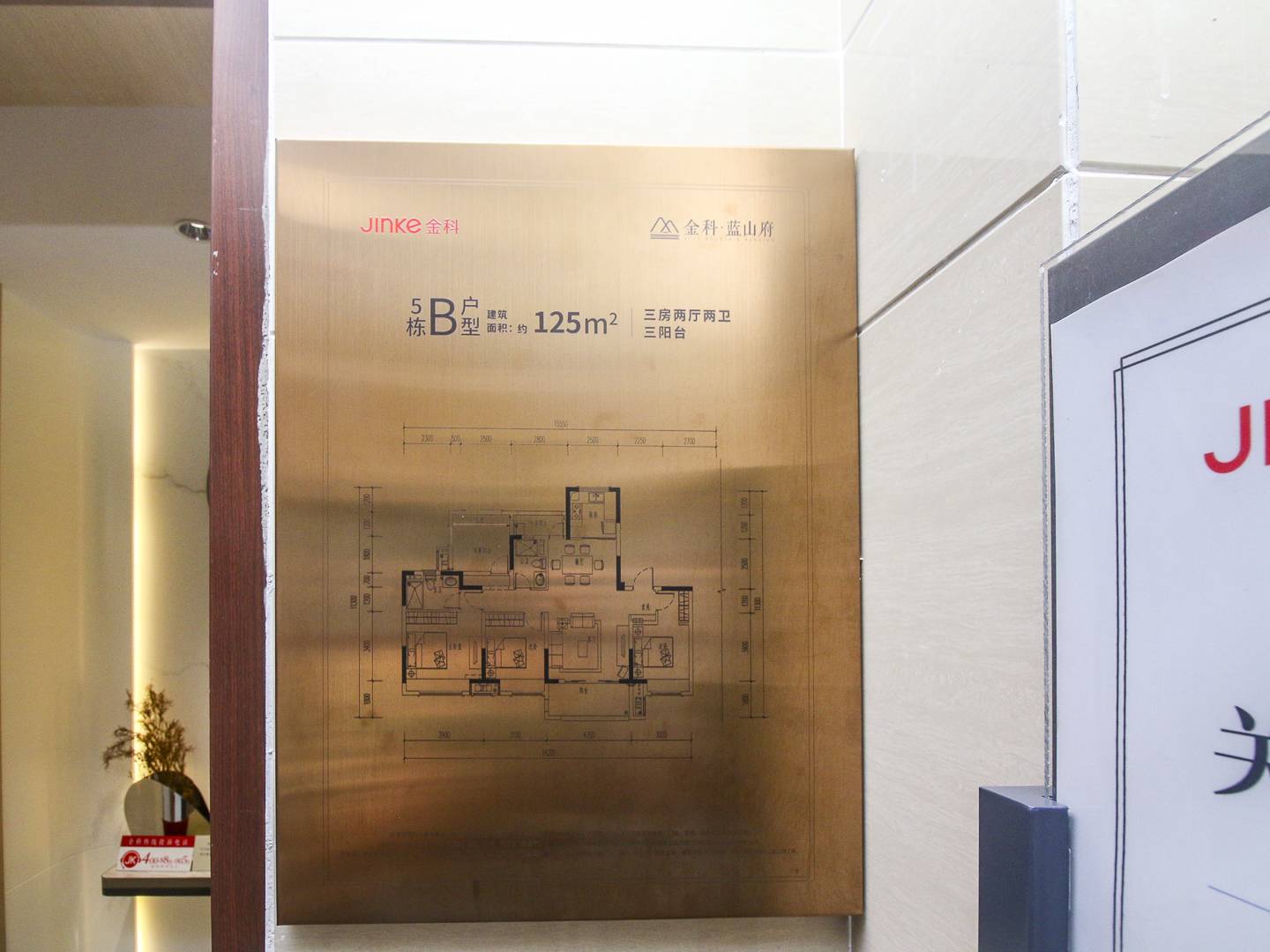 金科蓝山府